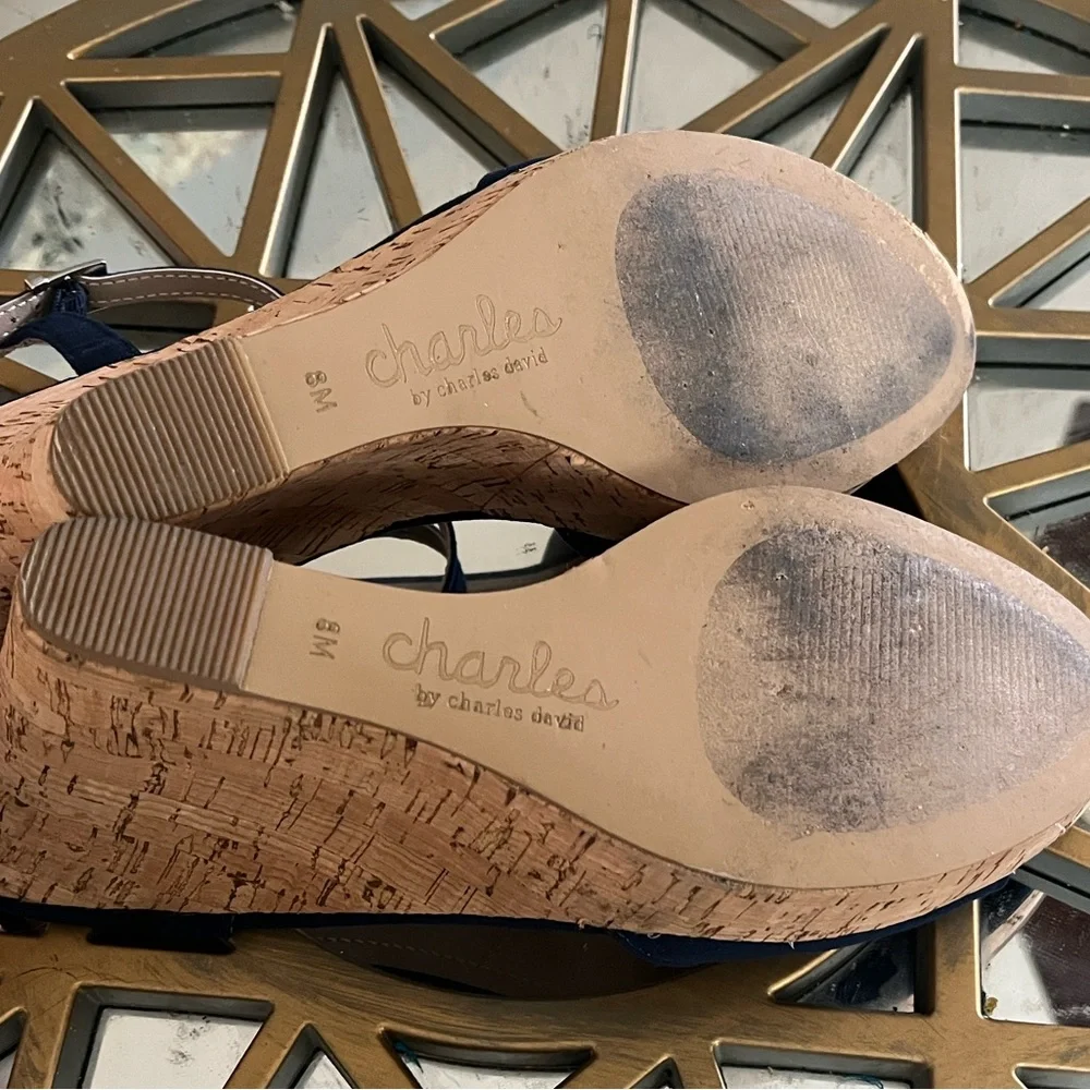 Charles by Charles David Navy Wedge Sandals - Picture 11 of 14
